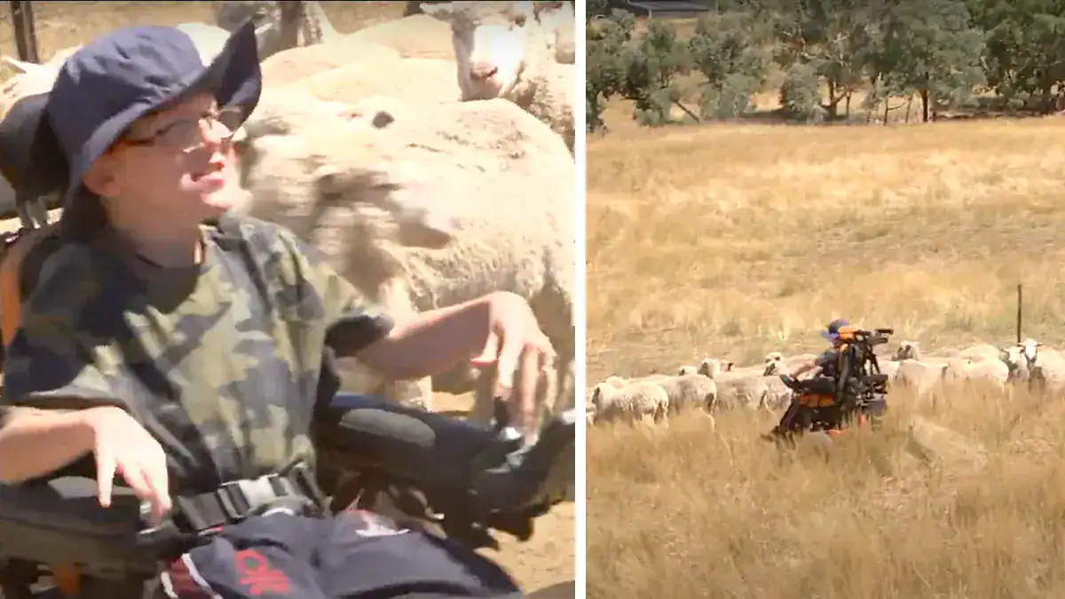 Boy with Cerebral Palsy Loves Sheep Mustering on Family Farm