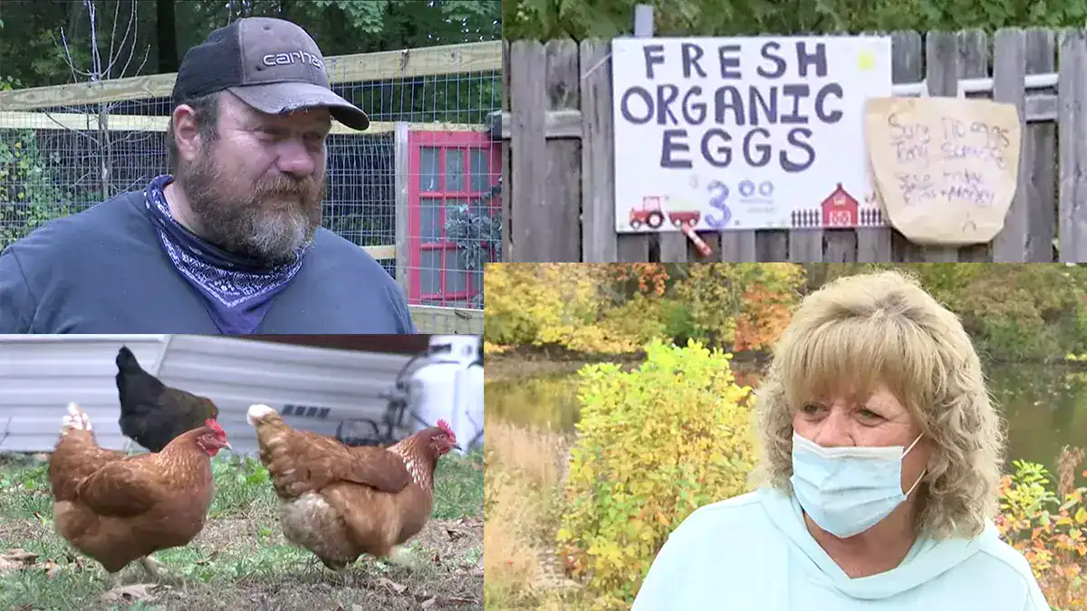 North Kingstown Community Rallies After Thief Steals Roadside Egg Stand
